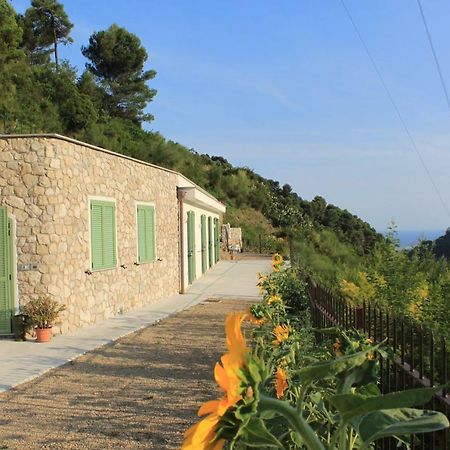Il Casotto Del Nonno Apartment Вентимиля Екстериор снимка